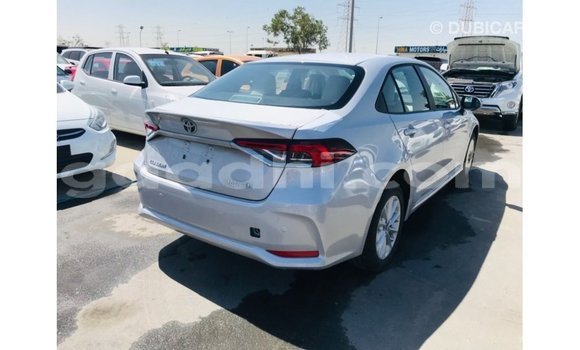 Imported Toyota Corolla White Makiinaa iti Import - Dubai keessatti Somalia keessatti Imported Toyota Corolla White Makiinaa iti Import - Dubai keessatti Somalia keessatti