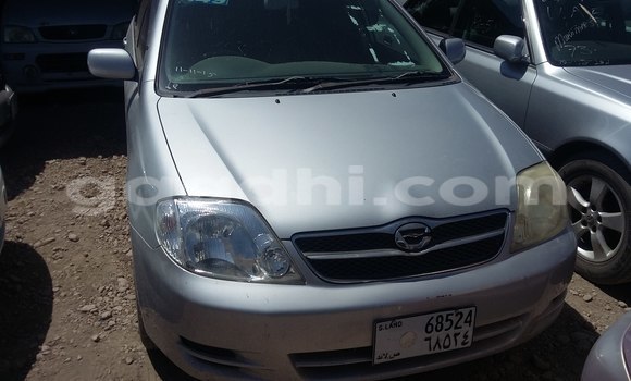 Oofamaa Toyota Corolla Silver Makiinaa iti Hargeysa keessatti Somaliland keessatti Oofamaa Toyota Corolla Silver Makiinaa iti Hargeysa keessatti Somaliland keessatti