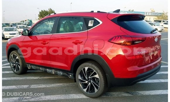 ይግዙ Imported Hyundai Tucson ቀይ መኪና በ Import - Dubai በ ሶማሊያ ይግዙ Imported Hyundai Tucson ቀይ መኪና በ Import - Dubai በ ሶማሊያ