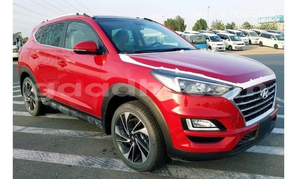 ይግዙ Imported Hyundai Tucson ቀይ መኪና በ Import - Dubai በ ሶማሊያ ይግዙ Imported Hyundai Tucson ቀይ መኪና በ Import - Dubai በ ሶማሊያ