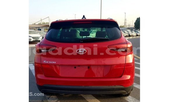ይግዙ Imported Hyundai Tucson ቀይ መኪና በ Import - Dubai በ ሶማሊያ ይግዙ Imported Hyundai Tucson ቀይ መኪና በ Import - Dubai በ ሶማሊያ