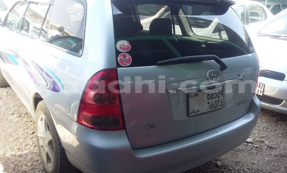 Oofamaa Toyota Corolla Silver Makiinaa iti Hargeysa keessatti Somaliland keessatti Oofamaa Toyota Corolla Silver Makiinaa iti Hargeysa keessatti Somaliland keessatti