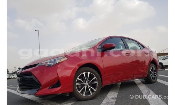 Buy Import Toyota Corolla Red Car in Import - Dubai in Somalia Buy Import Toyota Corolla Red Car in Import - Dubai in Somalia