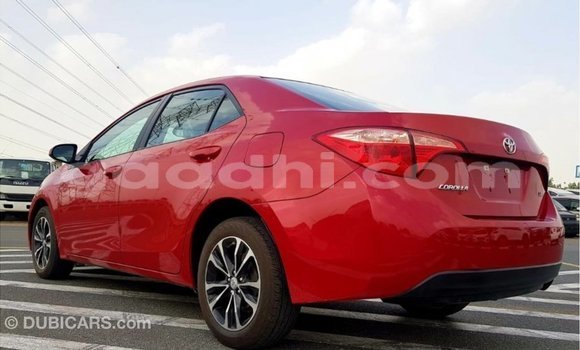 Buy Import Toyota Corolla Red Car in Import - Dubai in Somalia Buy Import Toyota Corolla Red Car in Import - Dubai in Somalia