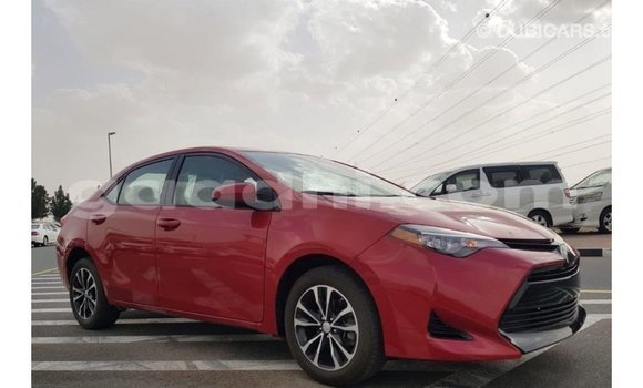 Buy Import Toyota Corolla Red Car in Import - Dubai in Somalia Buy Import Toyota Corolla Red Car in Import - Dubai in Somalia