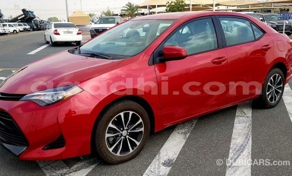 Buy Import Toyota Corolla Red Car in Import - Dubai in Somalia Buy Import Toyota Corolla Red Car in Import - Dubai in Somalia