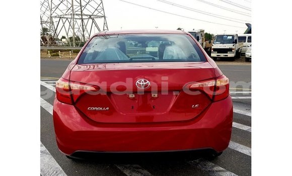Buy Import Toyota Corolla Red Car in Import - Dubai in Somalia Buy Import Toyota Corolla Red Car in Import - Dubai in Somalia
