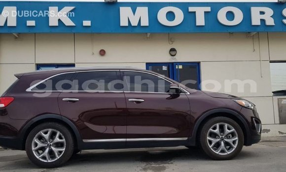 Imported Kia Sorento Red Makiinaa iti Import - Dubai keessatti Somalia keessatti Imported Kia Sorento Red Makiinaa iti Import - Dubai keessatti Somalia keessatti