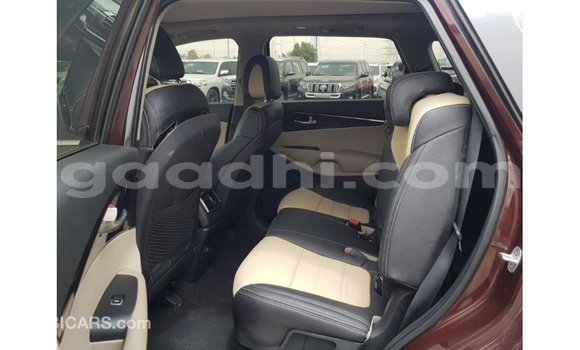 Imported Kia Sorento Red Makiinaa iti Import - Dubai keessatti Somalia keessatti Imported Kia Sorento Red Makiinaa iti Import - Dubai keessatti Somalia keessatti