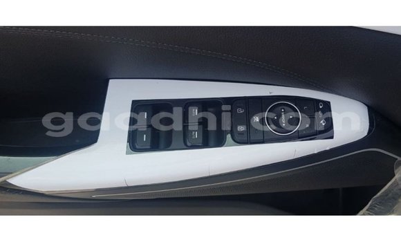 Acheter Import Voiture Kia Cadenza Bleu à Import - Dubai, Somalie Acheter Import Voiture Kia Cadenza Bleu à Import - Dubai, Somalie