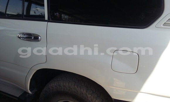 Oofamaa Toyota Land Cruiser White Makiinaa iti Mogadishu keessatti Somalia keessatti Oofamaa Toyota Land Cruiser White Makiinaa iti Mogadishu keessatti Somalia keessatti