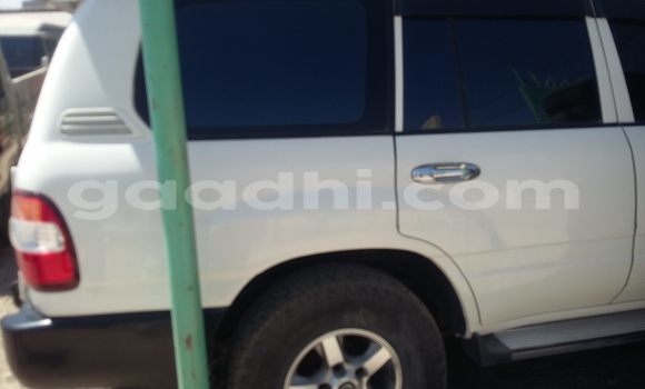 Oofamaa Toyota Land Cruiser White Makiinaa iti Mogadishu keessatti Somalia keessatti Oofamaa Toyota Land Cruiser White Makiinaa iti Mogadishu keessatti Somalia keessatti
