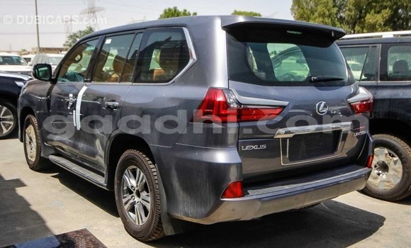 Imported Lexus LX Other Makiinaa iti Import - Dubai keessatti Somalia keessatti Imported Lexus LX Other Makiinaa iti Import - Dubai keessatti Somalia keessatti