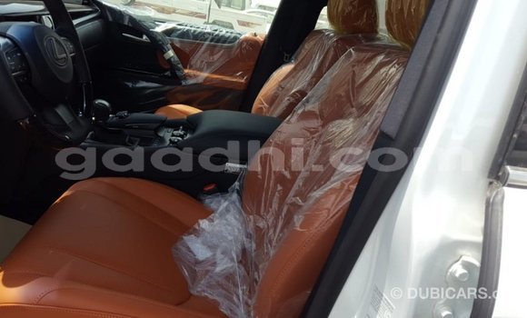 Imported Lexus LX Other Makiinaa iti Import - Dubai keessatti Somalia keessatti Imported Lexus LX Other Makiinaa iti Import - Dubai keessatti Somalia keessatti