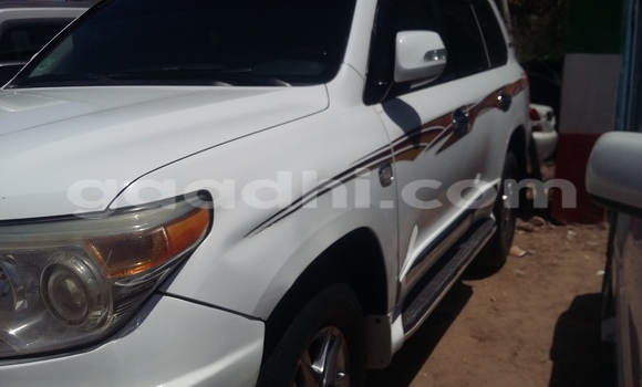 Buy New Toyota Land Cruiser White Car in Mogadishu in Somalia