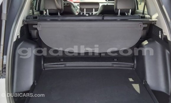 Acheter Import Moto Honda C Autre à Import - Dubai, Somalie Acheter Import Moto Honda C Autre à Import - Dubai, Somalie