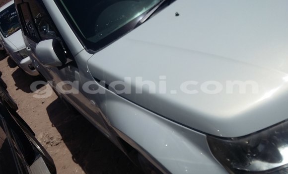 Oofamaa Suzuki Alto White Makiinaa iti Mogadishu keessatti Somalia keessatti Oofamaa Suzuki Alto White Makiinaa iti Mogadishu keessatti Somalia keessatti