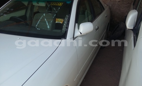 Oofamaa Toyota 4Runner White Makiinaa iti Hargeysa keessatti Somaliland keessatti Oofamaa Toyota 4Runner White Makiinaa iti Hargeysa keessatti Somaliland keessatti