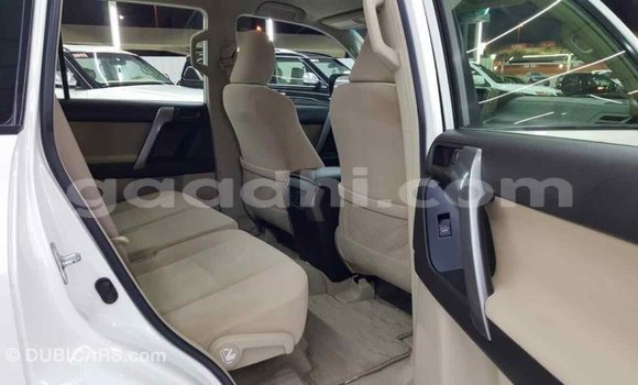 Imported Toyota Prado White Makiinaa iti Import - Dubai keessatti Somalia keessatti Imported Toyota Prado White Makiinaa iti Import - Dubai keessatti Somalia keessatti