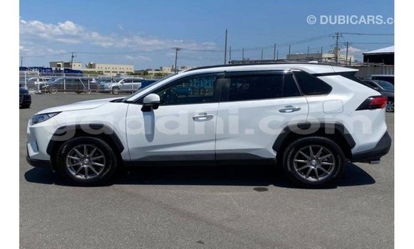 Acheter Import Utilitaire Toyota HiAce Blanc à Import - Dubai, Somalie Acheter Import Utilitaire Toyota HiAce Blanc à Import - Dubai, Somalie