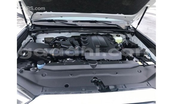 Buy Import Toyota HiAce White Truck in Import - Dubai in Somalia Buy Import Toyota HiAce White Truck in Import - Dubai in Somalia