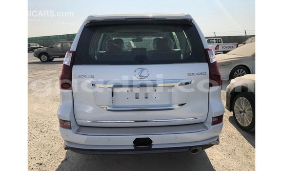 Imported Lexus GX White Makiinaa iti Import - Dubai keessatti Somalia keessatti Imported Lexus GX White Makiinaa iti Import - Dubai keessatti Somalia keessatti