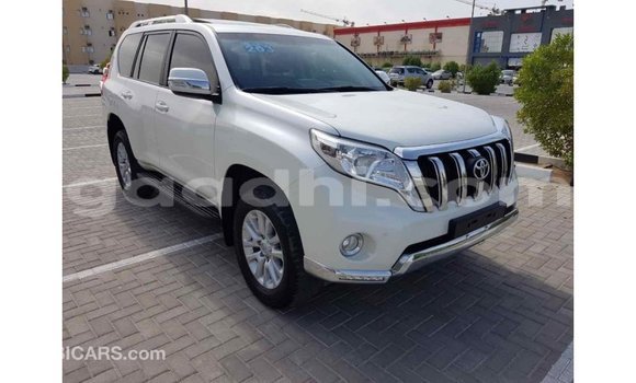 ይግዙ Imported Toyota Prado ነጭ መኪና በ Import - Dubai በ ሶማሊያ ይግዙ Imported Toyota Prado ነጭ መኪና በ Import - Dubai በ ሶማሊያ
