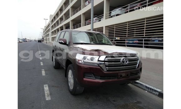 اشتري Imported Toyota Land Cruiser بنى سيارة في Import - Dubai في الصومال اشتري Imported Toyota Land Cruiser بنى سيارة في Import - Dubai في الصومال