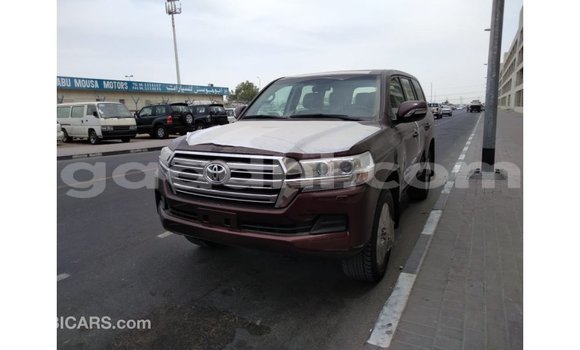 اشتري Imported Toyota Land Cruiser بنى سيارة في Import - Dubai في الصومال اشتري Imported Toyota Land Cruiser بنى سيارة في Import - Dubai في الصومال