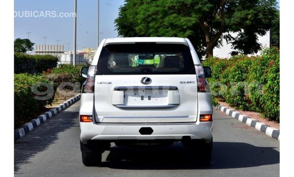 Imported Lexus GX White Makiinaa iti Import - Dubai keessatti Somalia keessatti Imported Lexus GX White Makiinaa iti Import - Dubai keessatti Somalia keessatti