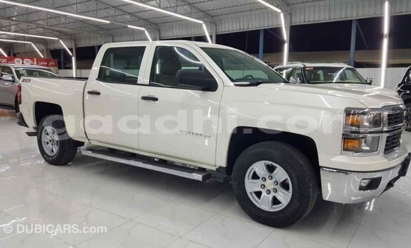 Imported Chevrolet Silverado White Makiinaa iti Import - Dubai keessatti Somalia keessatti Imported Chevrolet Silverado White Makiinaa iti Import - Dubai keessatti Somalia keessatti