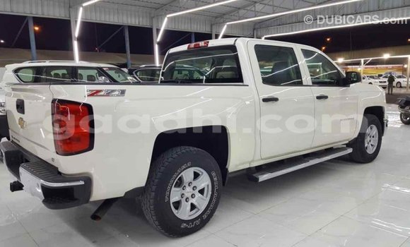 Imported Chevrolet Silverado White Makiinaa iti Import - Dubai keessatti Somalia keessatti Imported Chevrolet Silverado White Makiinaa iti Import - Dubai keessatti Somalia keessatti