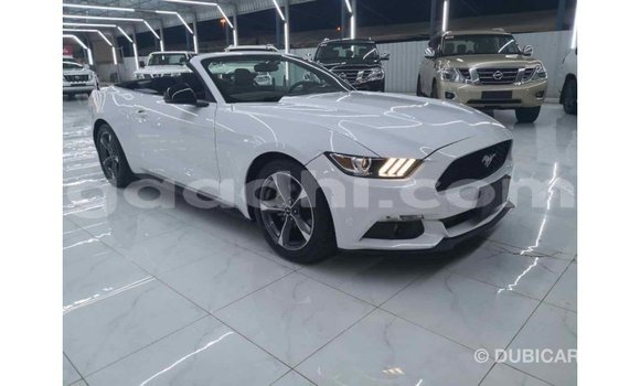 Imported Ford Mustang White Makiinaa iti Import - Dubai keessatti Somalia keessatti Imported Ford Mustang White Makiinaa iti Import - Dubai keessatti Somalia keessatti