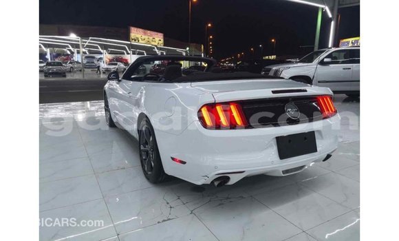 Imported Ford Mustang White Makiinaa iti Import - Dubai keessatti Somalia keessatti Imported Ford Mustang White Makiinaa iti Import - Dubai keessatti Somalia keessatti