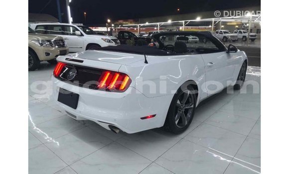 Imported Ford Mustang White Makiinaa iti Import - Dubai keessatti Somalia keessatti Imported Ford Mustang White Makiinaa iti Import - Dubai keessatti Somalia keessatti
