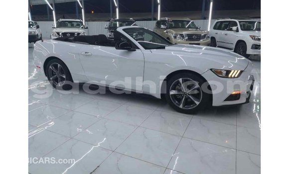 Imported Ford Mustang White Makiinaa iti Import - Dubai keessatti Somalia keessatti Imported Ford Mustang White Makiinaa iti Import - Dubai keessatti Somalia keessatti