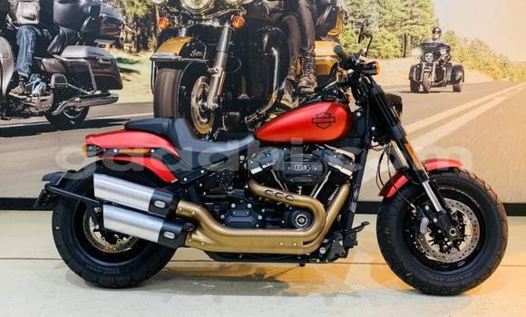 Buy Used Harley Davidson FL Red Bike in Bandarbeyla in Bari
