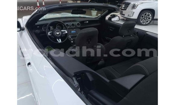 Imported Ford Mustang White Makiinaa iti Import - Dubai keessatti Somalia keessatti Imported Ford Mustang White Makiinaa iti Import - Dubai keessatti Somalia keessatti