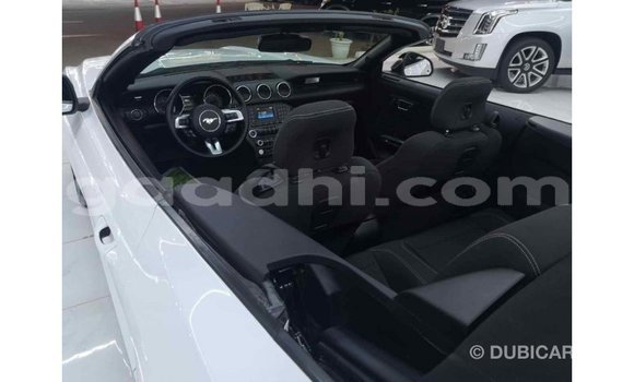 Imported Ford Mustang White Makiinaa iti Import - Dubai keessatti Somalia keessatti Imported Ford Mustang White Makiinaa iti Import - Dubai keessatti Somalia keessatti