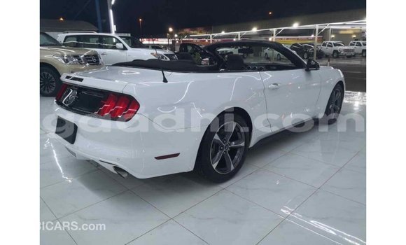 Imported Ford Mustang White Makiinaa iti Import - Dubai keessatti Somalia keessatti Imported Ford Mustang White Makiinaa iti Import - Dubai keessatti Somalia keessatti