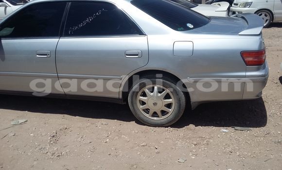 Oofamaa Toyota 4Runner Silver Makiinaa iti Mogadishu keessatti Somalia keessatti Oofamaa Toyota 4Runner Silver Makiinaa iti Mogadishu keessatti Somalia keessatti