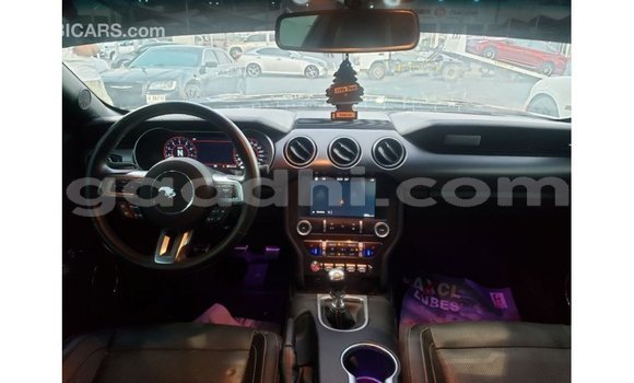 Buy Import Ford Mustang Black Car in Import - Dubai in Somalia Buy Import Ford Mustang Black Car in Import - Dubai in Somalia