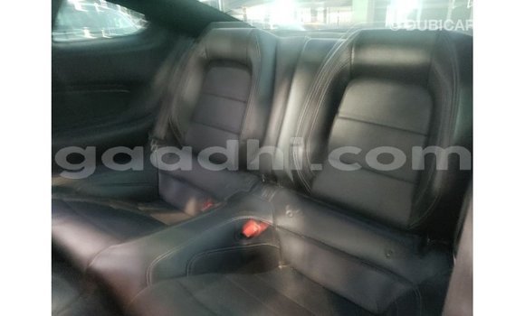 Buy Import Ford Mustang Black Car in Import - Dubai in Somalia Buy Import Ford Mustang Black Car in Import - Dubai in Somalia