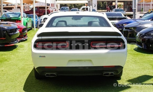 Nunua Imported Dodge Challenger Nyeupe Gari ndani ya Import - Dubai nchini Somalia Nunua Imported Dodge Challenger Nyeupe Gari ndani ya Import - Dubai nchini Somalia