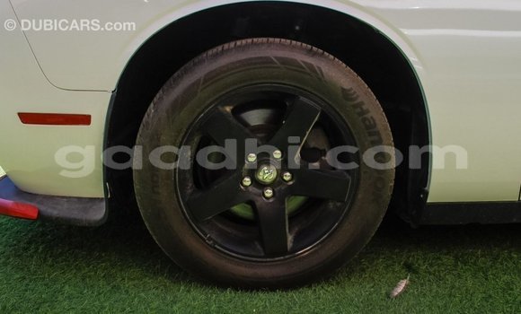 Nunua Imported Dodge Challenger Nyeupe Gari ndani ya Import - Dubai nchini Somalia Nunua Imported Dodge Challenger Nyeupe Gari ndani ya Import - Dubai nchini Somalia
