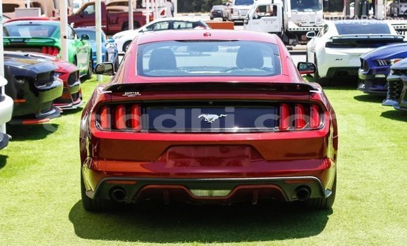 Nunua Imported Ford Mustang Nyekundu Gari ndani ya Import - Dubai nchini Somalia Nunua Imported Ford Mustang Nyekundu Gari ndani ya Import - Dubai nchini Somalia
