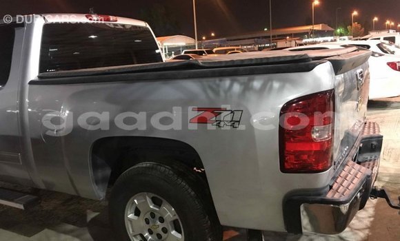 Imported Chevrolet Silverado Other Makiinaa iti Import - Dubai keessatti Somalia keessatti Imported Chevrolet Silverado Other Makiinaa iti Import - Dubai keessatti Somalia keessatti