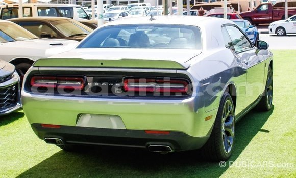 Buy Import Dodge Challenger Other Car in Import - Dubai in Somalia Buy Import Dodge Challenger Other Car in Import - Dubai in Somalia