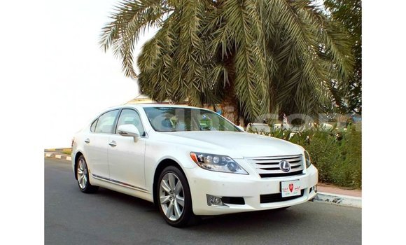 Buy Import Lexus LS White Car in Import - Dubai in Somalia