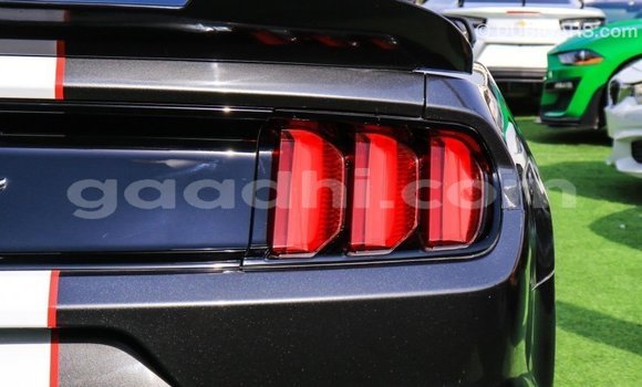 Buy Import Ford Mustang Other Car in Import - Dubai in Somalia Buy Import Ford Mustang Other Car in Import - Dubai in Somalia